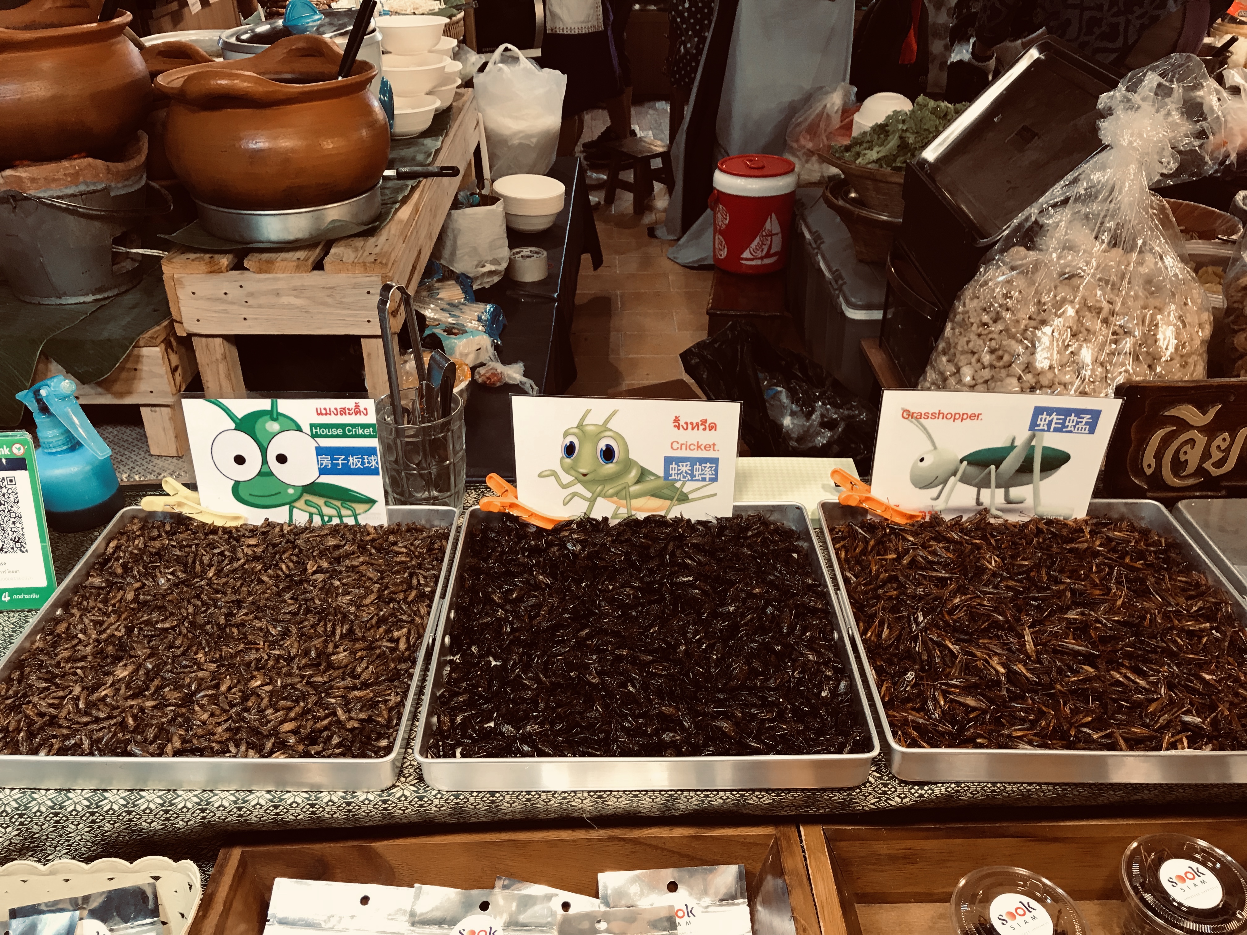 691A4232-BD27-4D5A-8346-AD15DE21135A