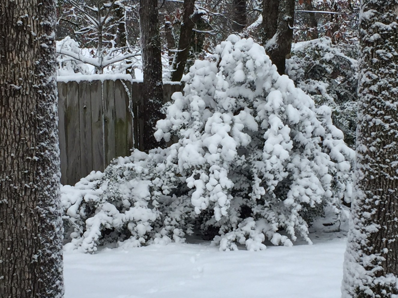 How Hot Is It?? โ mud&string